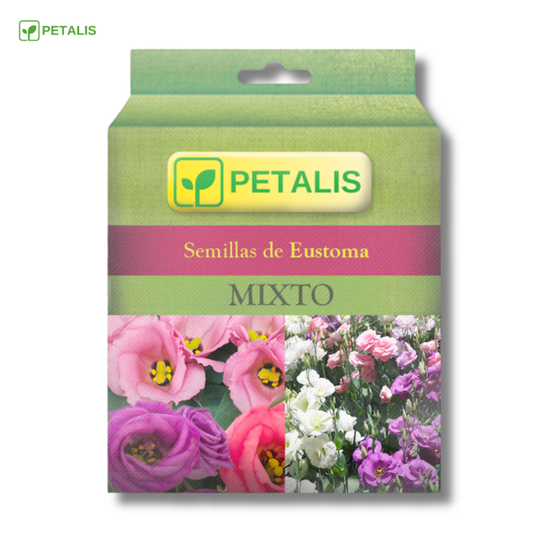 Semillas de Eustoma