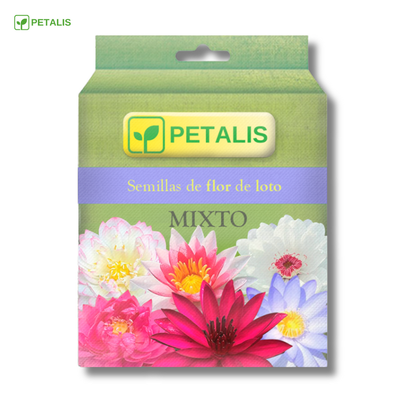 Semillas de flor de loto Petalis