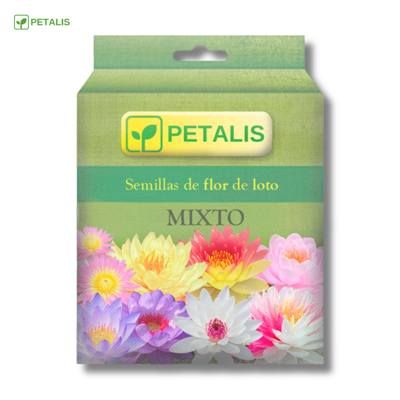 Semillas de flor de loto Petalis