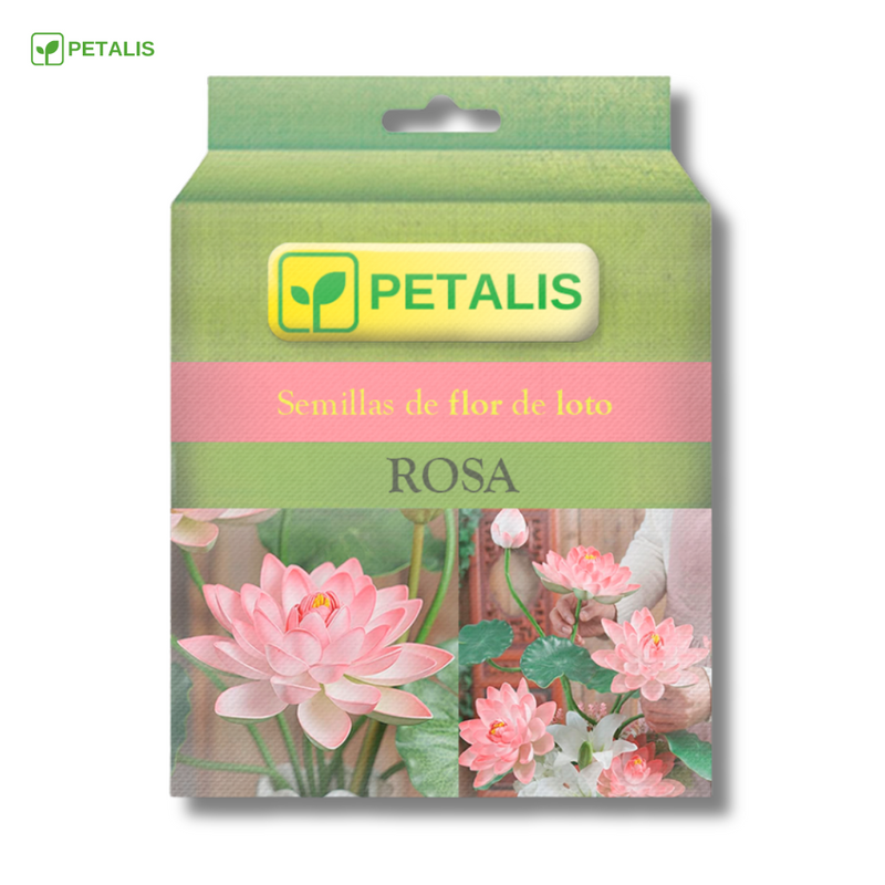 Semillas de flor de loto Petalis